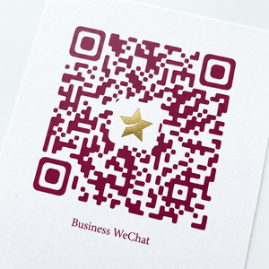 捷克街头商务二维码